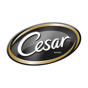 Cesar logo