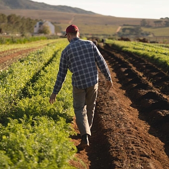 Mars farmer