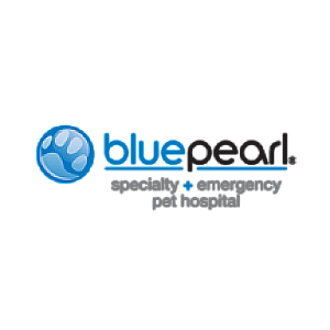 Logo bluepearl