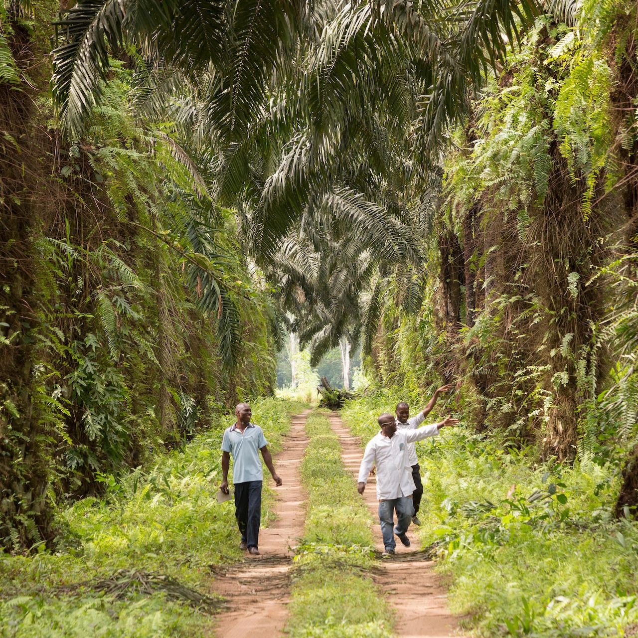 People among palms