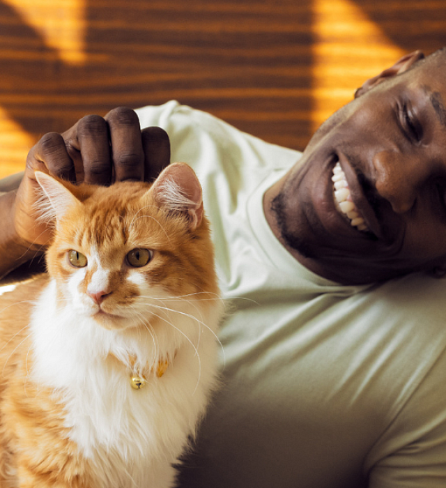 A man smiling and petting his cat