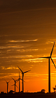 Wind turbines in a field with sun setting in the background